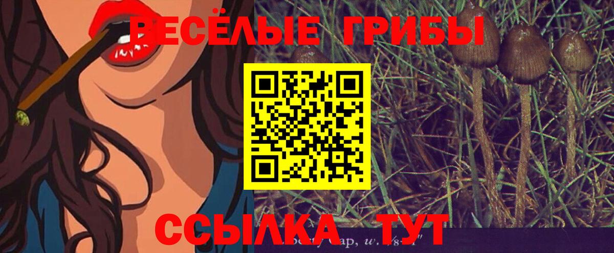Каменка  Галлюциногенные грибы Psilocybine cubensis  Вход с VPN 