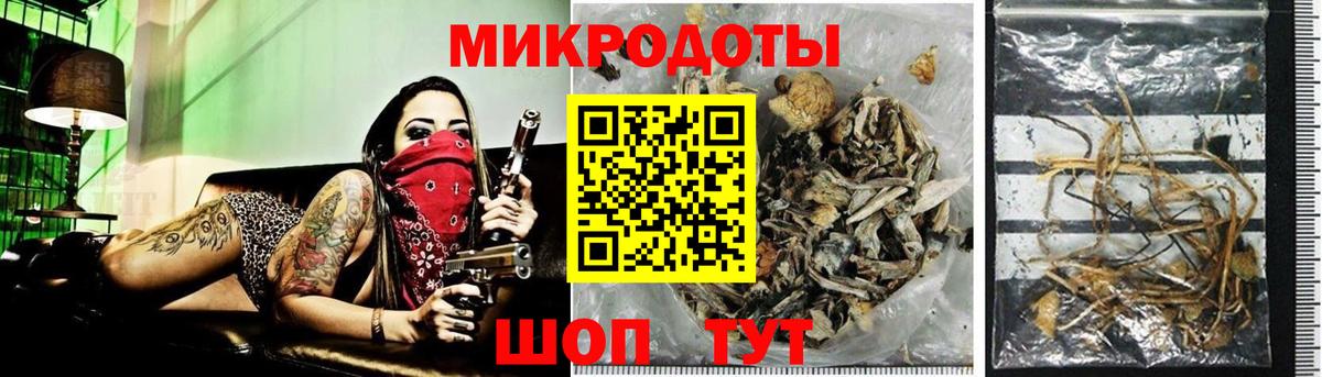 Псилоцибиновые грибы MAGIC MUSHROOMS Каменка